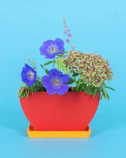 Flatland // Classic Bowl 3d model