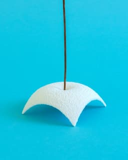Fovea // Dried Plant Holder 3d model