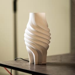 COCOON 3d model