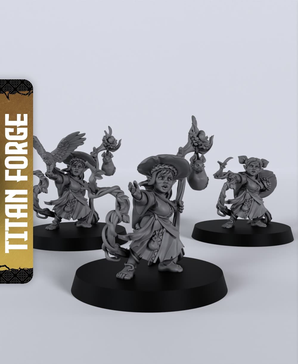 Halfling Female Druid - With Free Dragon - 5e DnD Inspired for RPG and Wargamers 3d model