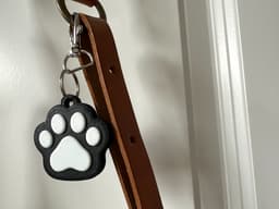 Cat paw Keychain 3d model