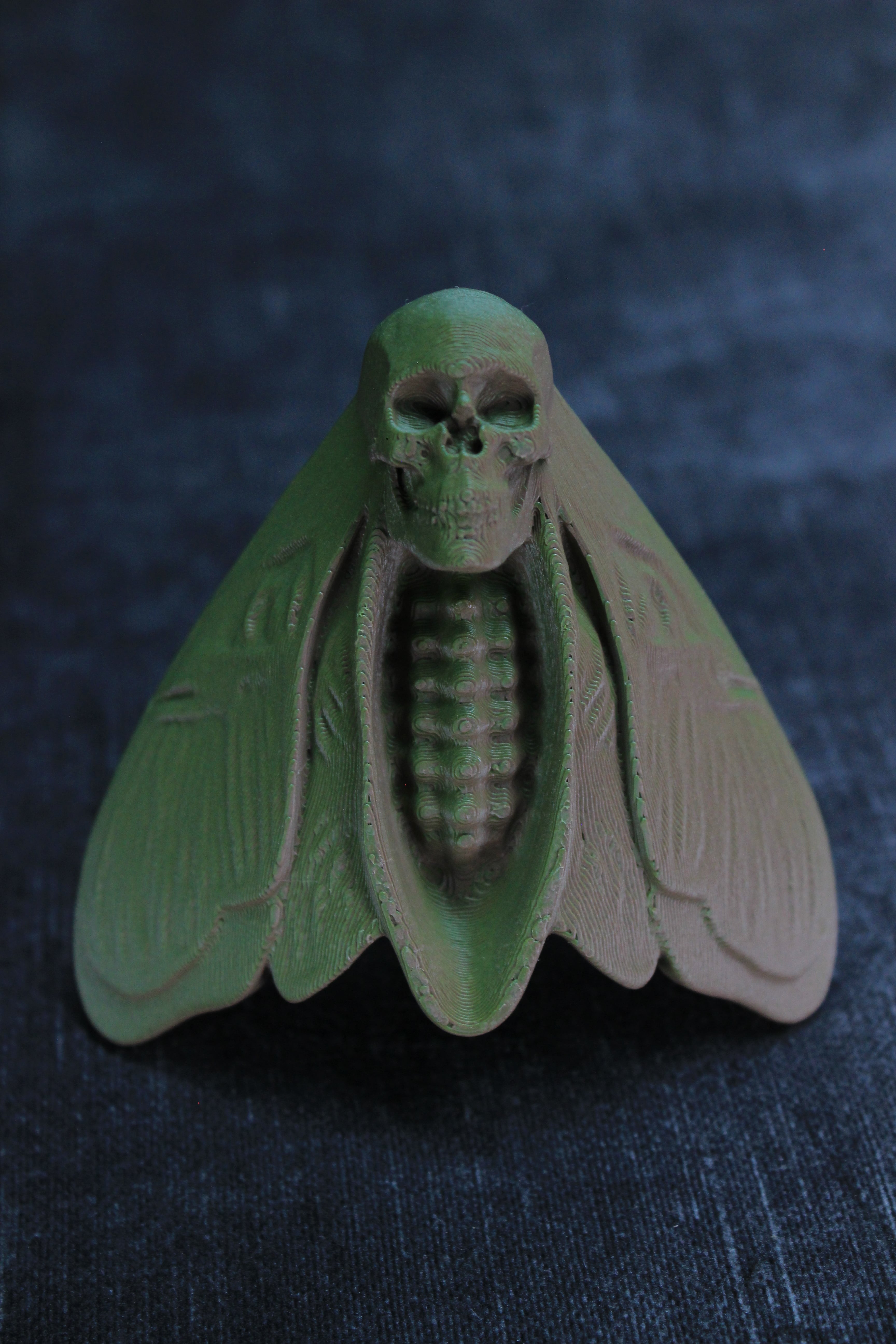 Death Moth (Pre Supported) 3d model