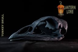 Turkey Skull (Pre Supported) 3d model