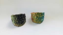 Signet ring rocky y wood! 3d model