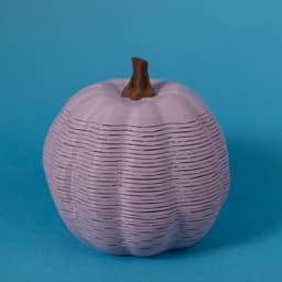 Tasty Springos Pack No.1 3d model