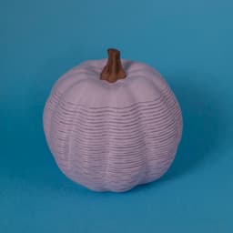 Tasty Springos Pack No.1 3d model
