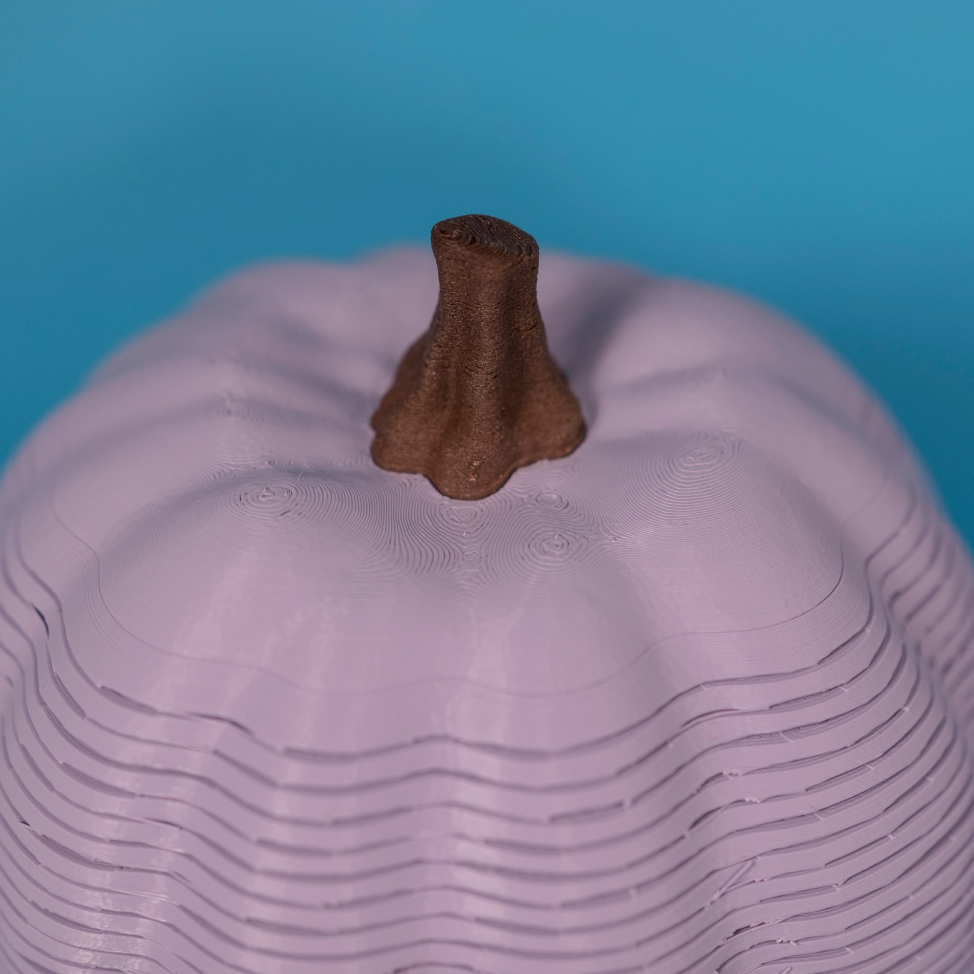 Tasty Springos Pack No.1 3d model