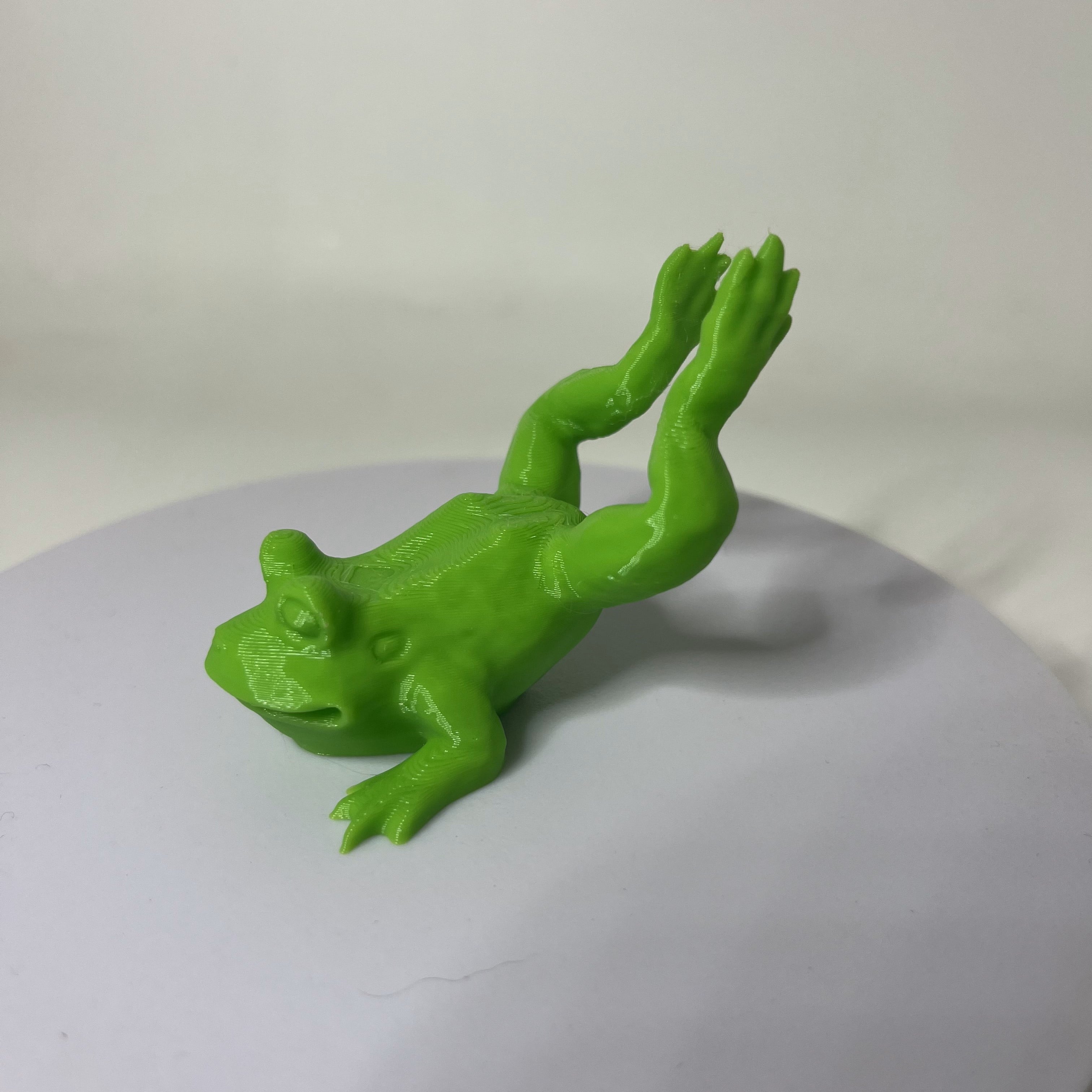 Frog on belly 3d model