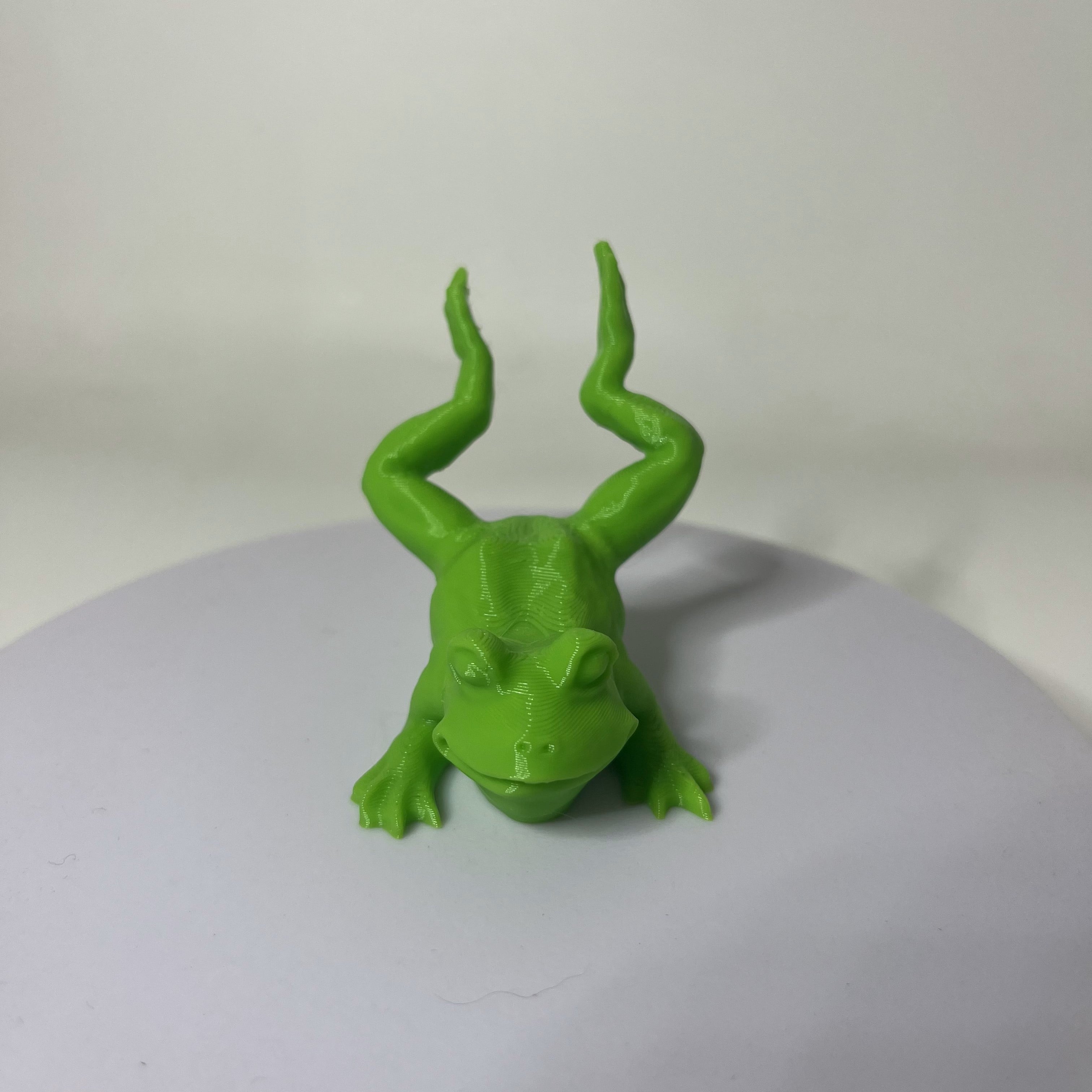 Frog on belly 3d model