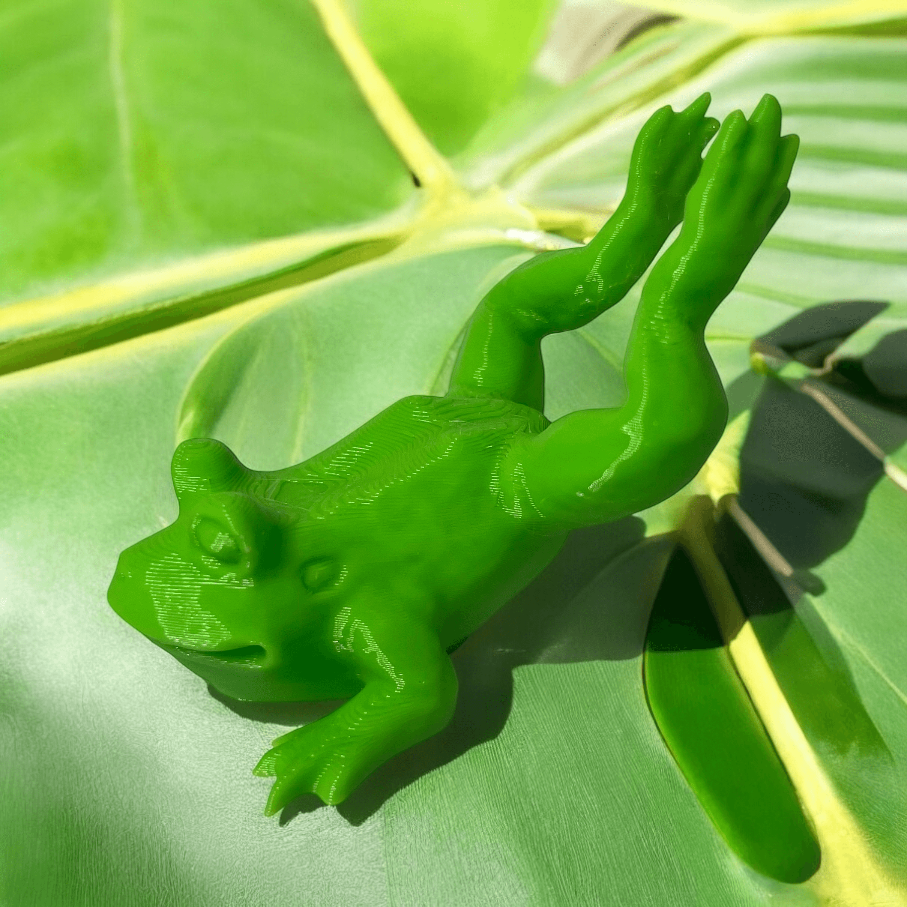 Frog on belly 3d model