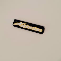 Keychain: Alpinestars I 3d model
