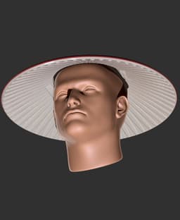 Mushroom Jingasa Hat 3d model