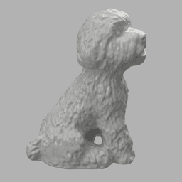 Bichon Dog 3d model