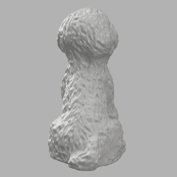 Bichon Dog 3d model