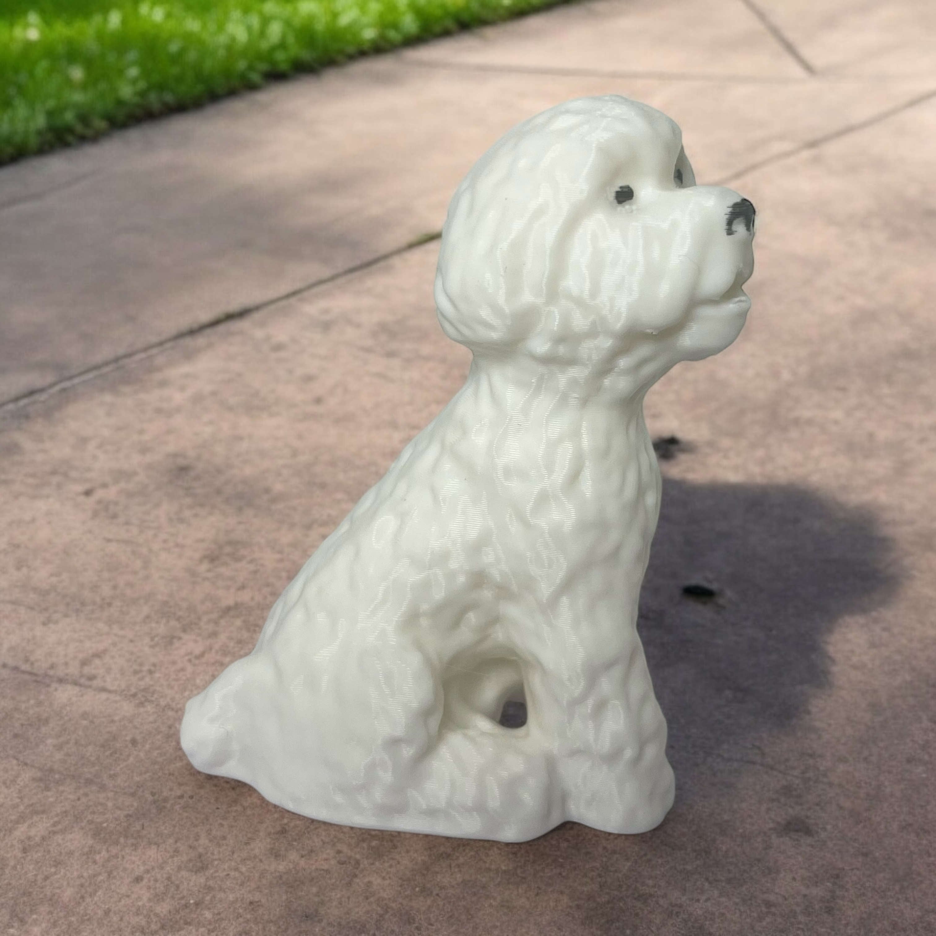 Bichon Dog 3d model