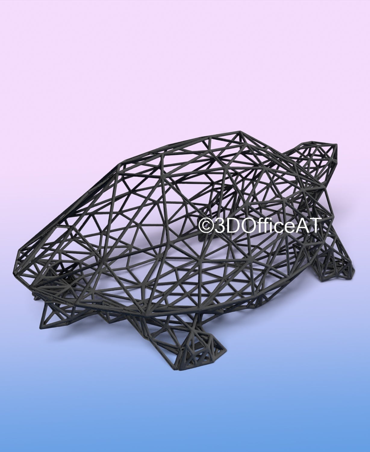 Turtle Wire Art 3d model