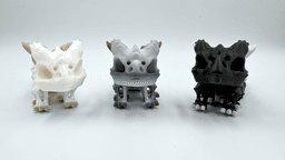 Kotsumaru - Skeleton Dragon Lizard Flexi 3d model