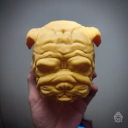English Bulldog 3d model
