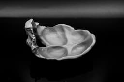 Occipital Bone Bowl 3d model