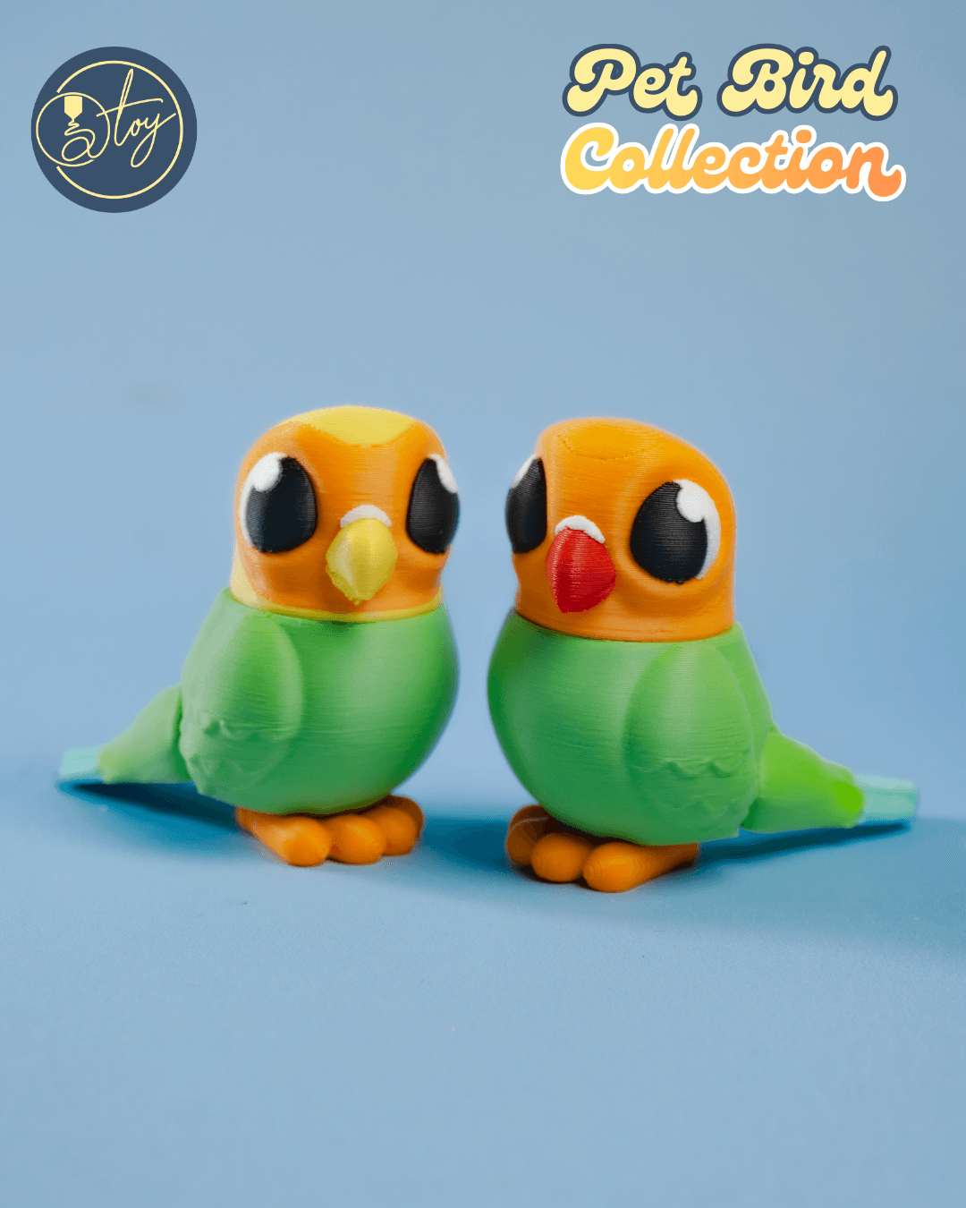 Pet Bird Collection 3d model