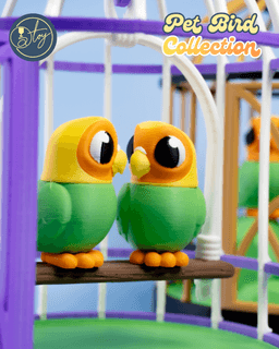 Pet Bird Collection 3d model