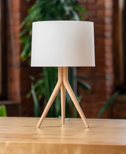 Tripod Lamp 3d model