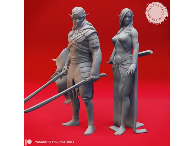 Drow Pair - Tabletop Miniatures 3d model