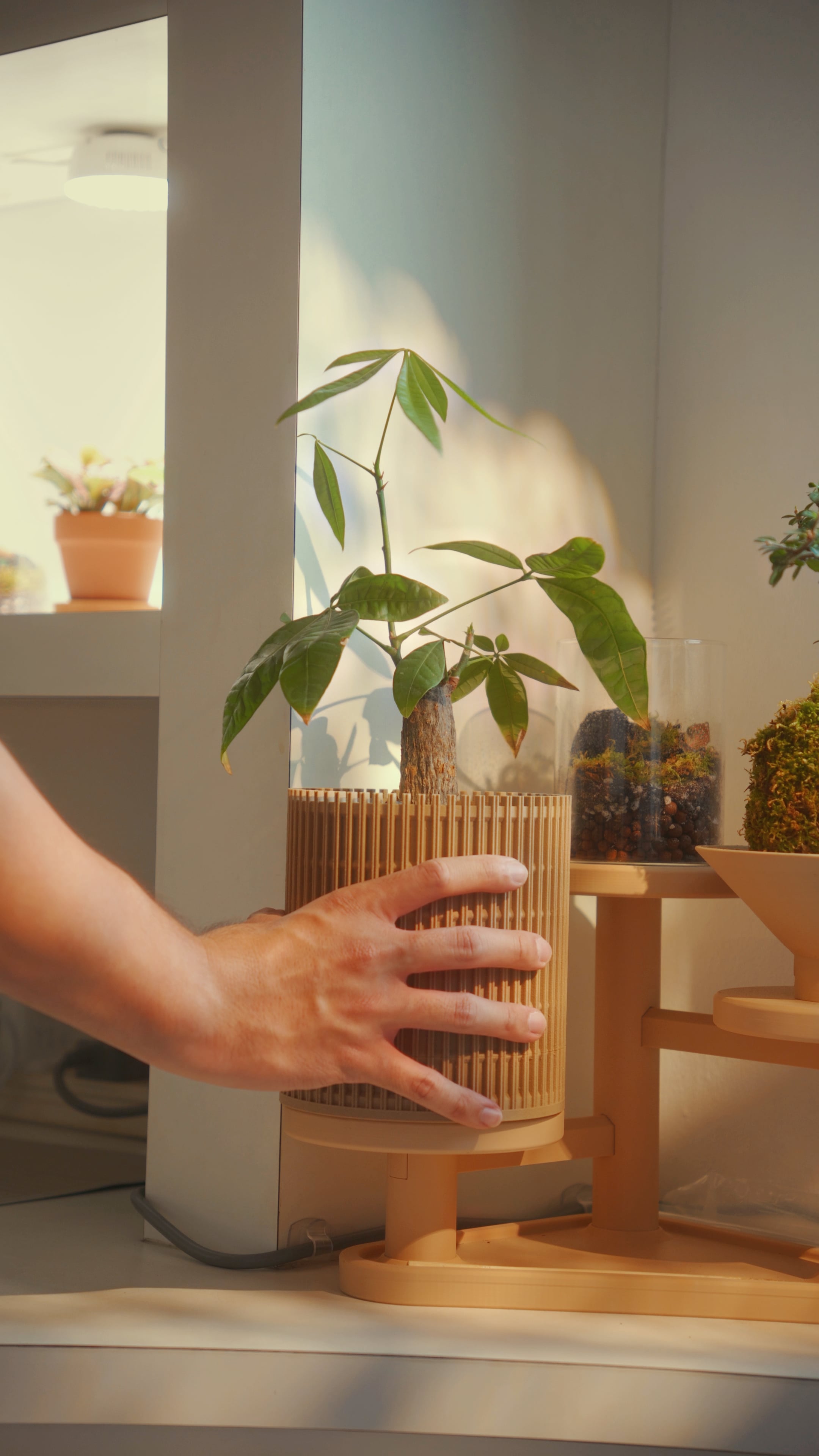 Lattice Planter 3d model