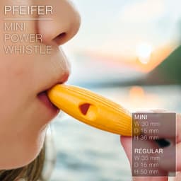 PFEIFER | Mini Power Whistle 3d model