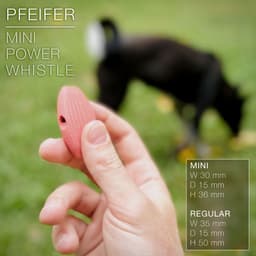 PFEIFER | Mini Power Whistle 3d model
