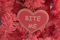 Bite Me Conversation Heart Earring Necklace Keychain and Ornament Set 3d model
