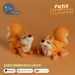 Petit Squirrel 3d model