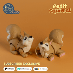Petit Squirrel 3d model