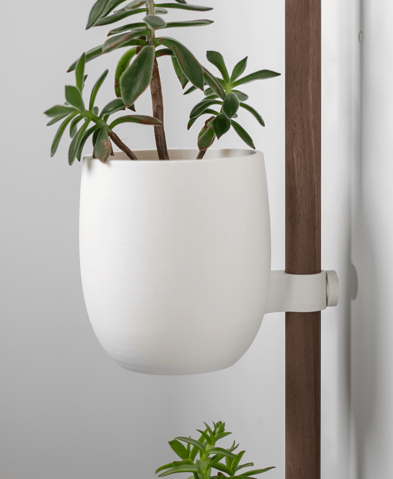 The Rail 3d model