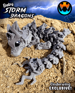 Baby Storm Dragon 3d model