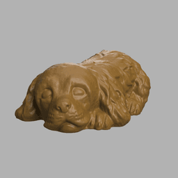 Cocker spaniel sleeping 3d model
