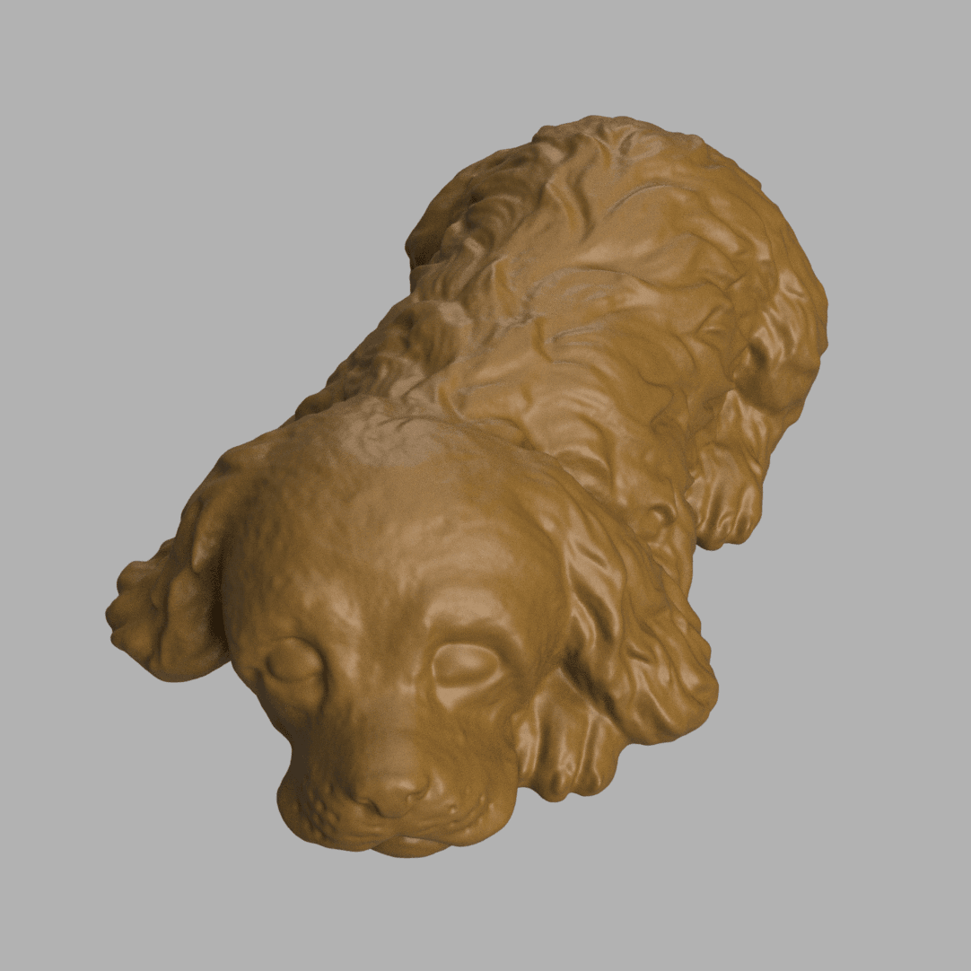 Cocker spaniel sleeping 3d model