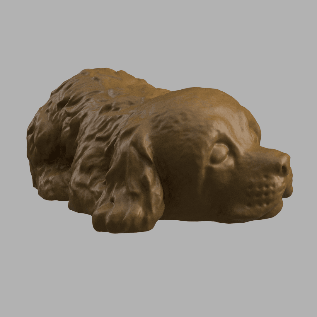 Cocker spaniel sleeping 3d model