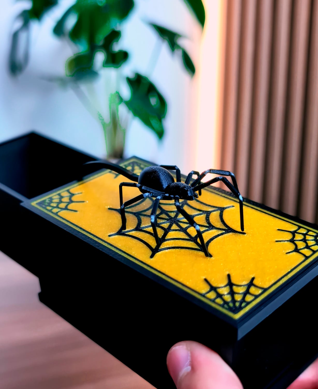 Spider Magic Box 3d model