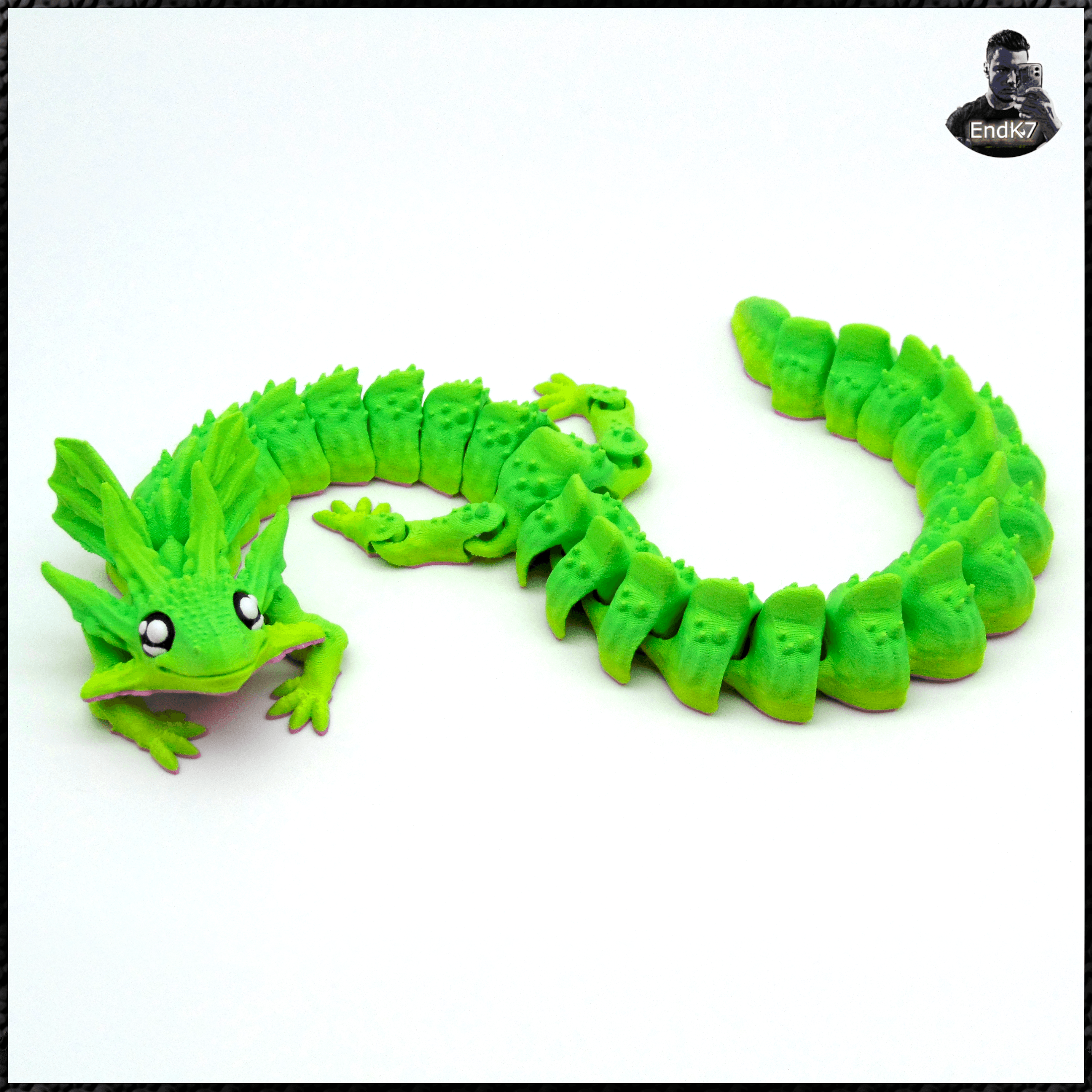Dragon Axolotl V2 3d model