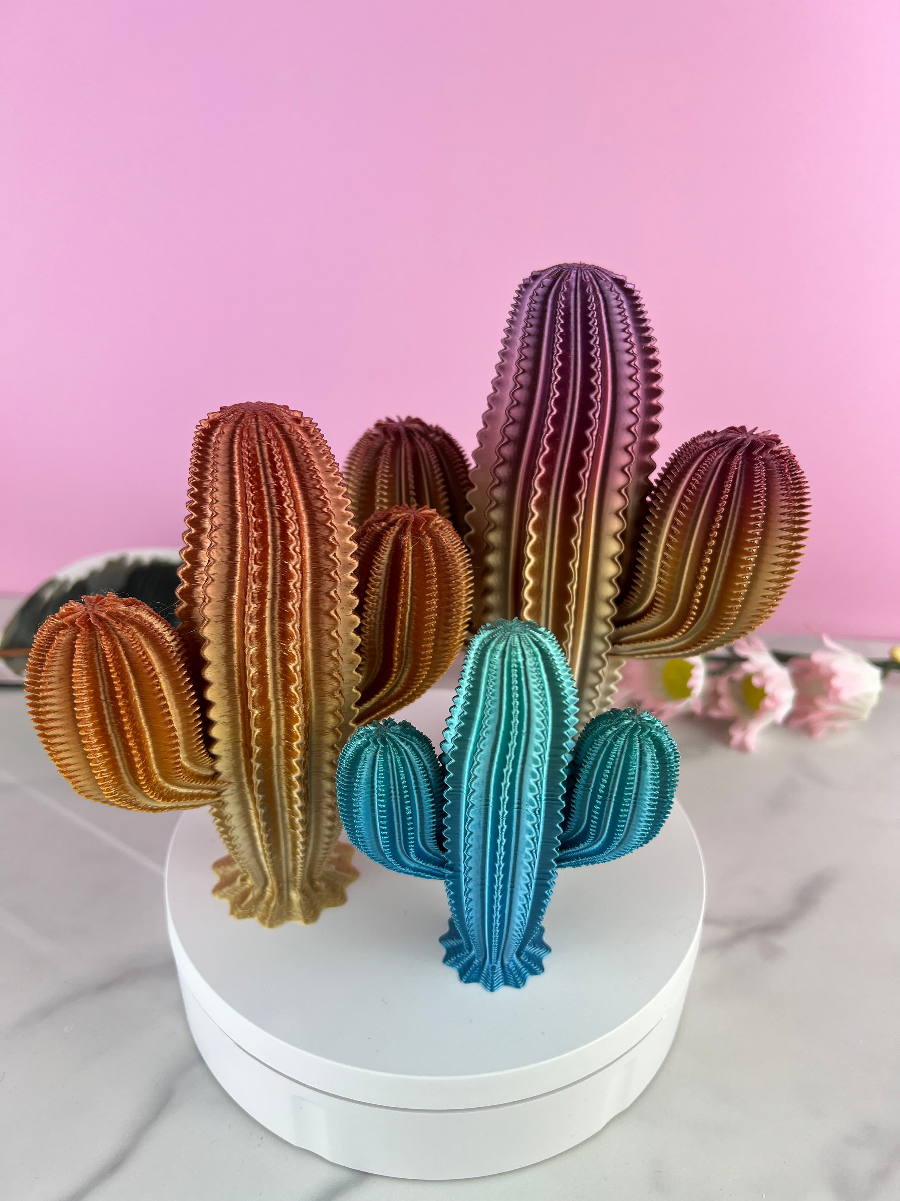 Saguaro Cactus 3d model