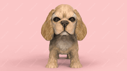 American Cocker Spaniel 3d model