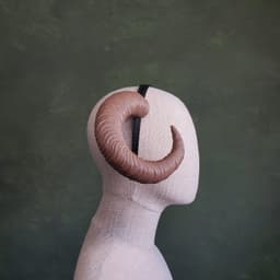 Celine | Medium Curled Horns 3d model