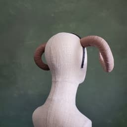 Celine | Medium Curled Horns 3d model