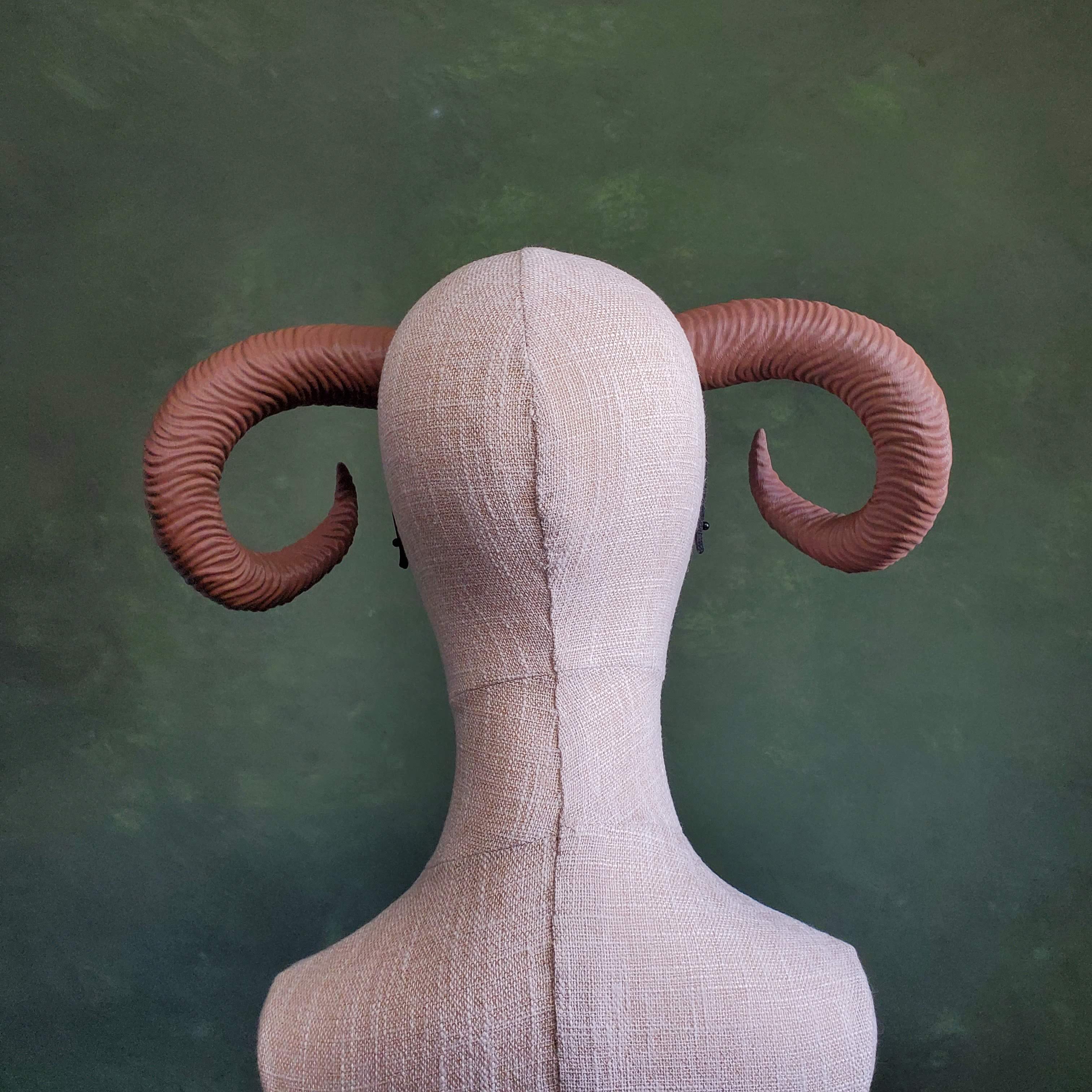 Celine | Medium Curled Horns 3d model