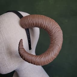 Celine | Medium Curled Horns 3d model