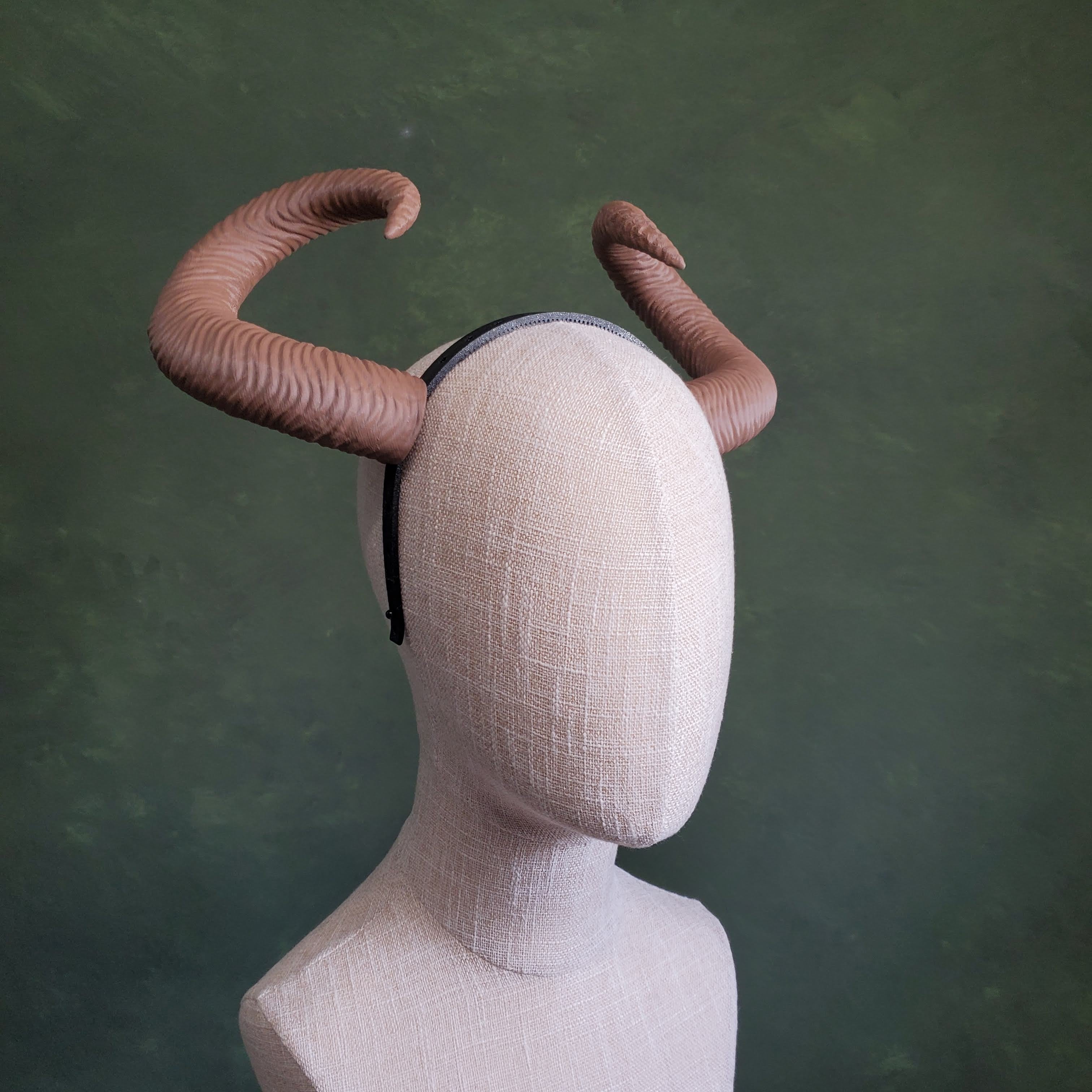 Celine | Medium Curled Horns 3d model