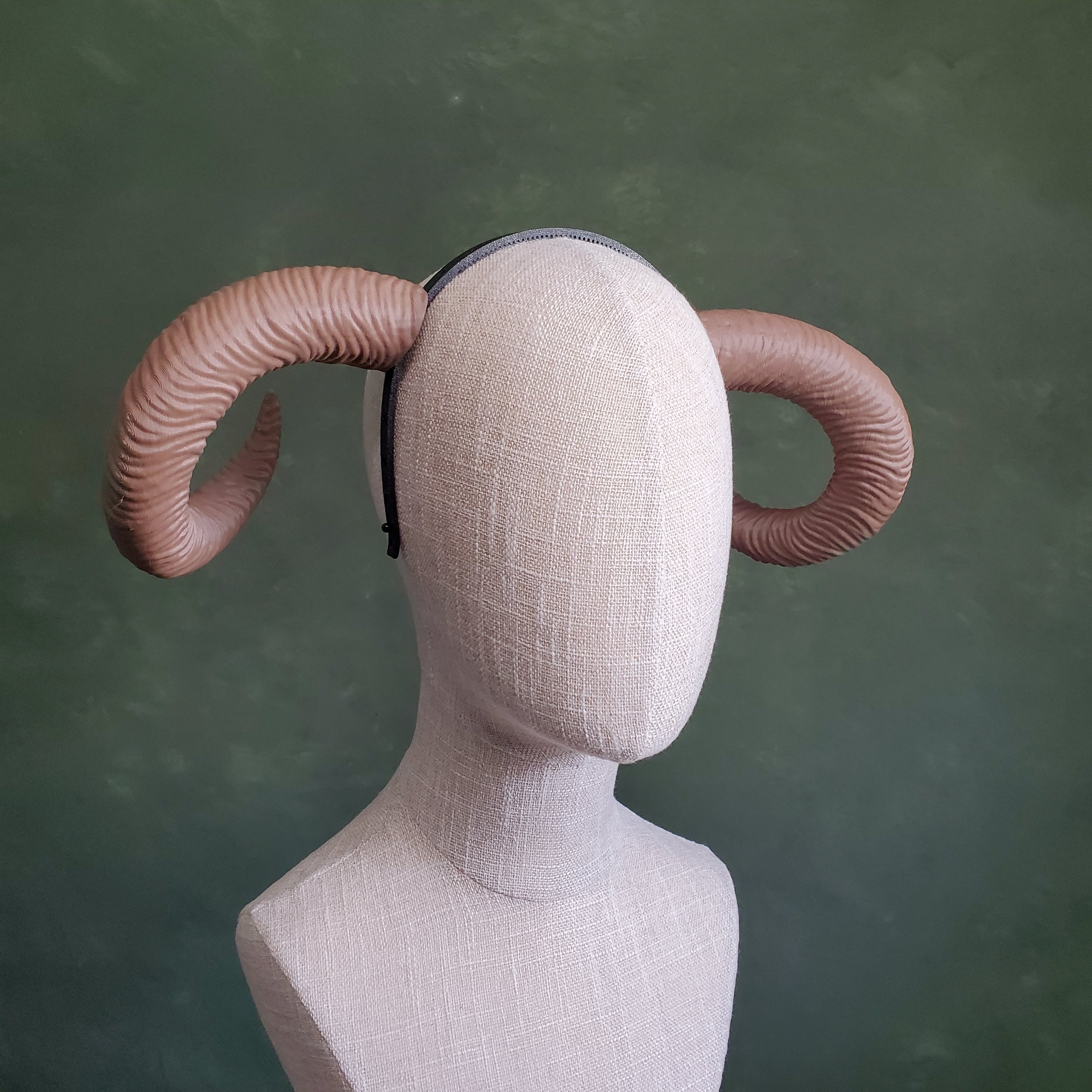 Celine | Medium Curled Horns 3d model