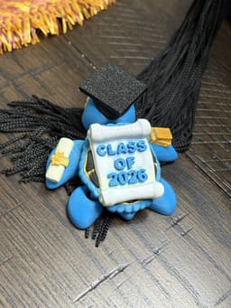 2026 Graduation Turtle 3d model