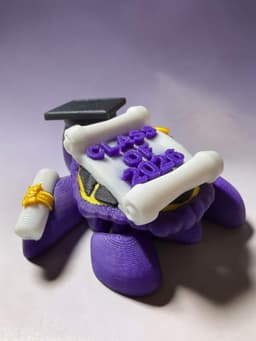 2026 Graduation Turtle 3d model